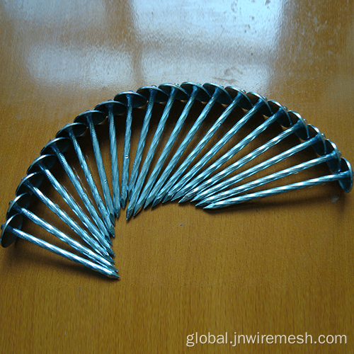 China Galvanized umbrella head roofing nails with twist shank Manufactory